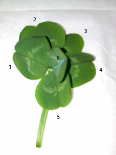 2010032018260001.jpg